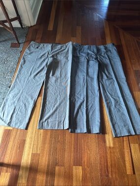 Esprit women Grey Dress Pants Trio - Subtle Pinstripe